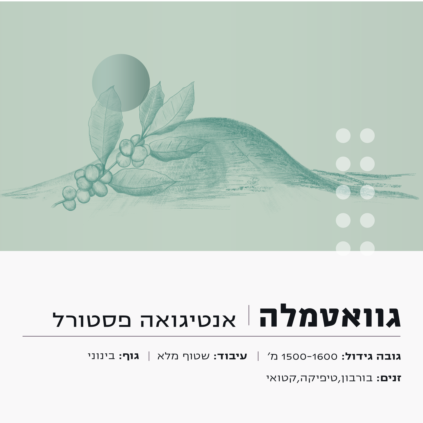 גווטאמלה