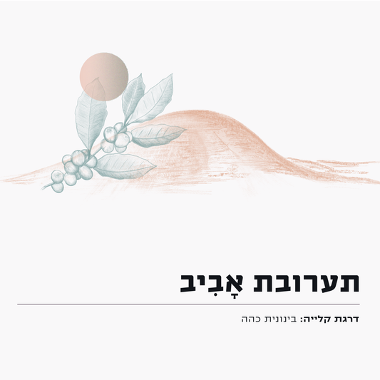 אביב