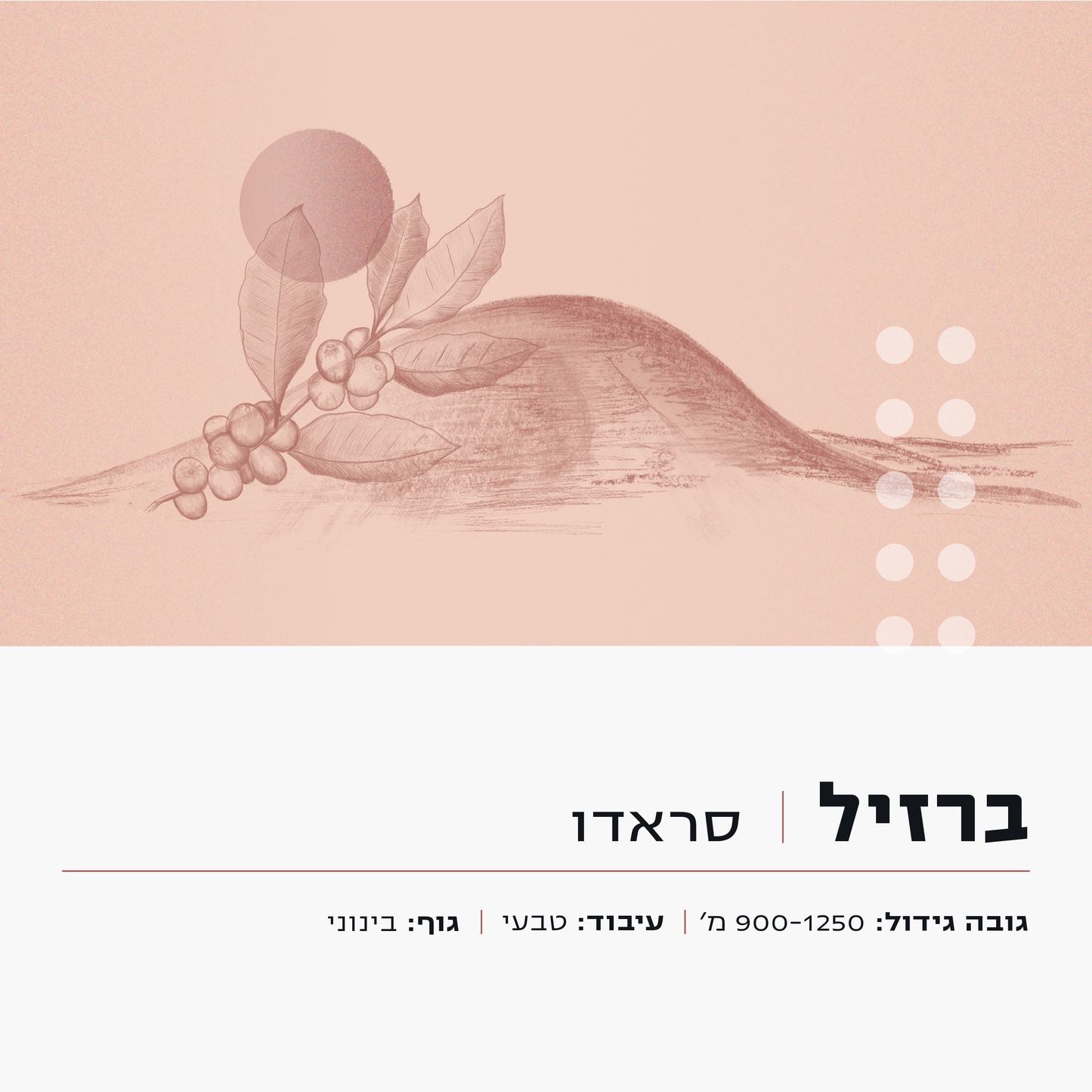 ברזיל
